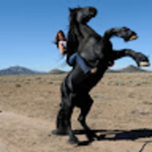 Meet your Posher, Abigail